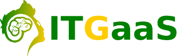 ITGaaS Blaise Drayer